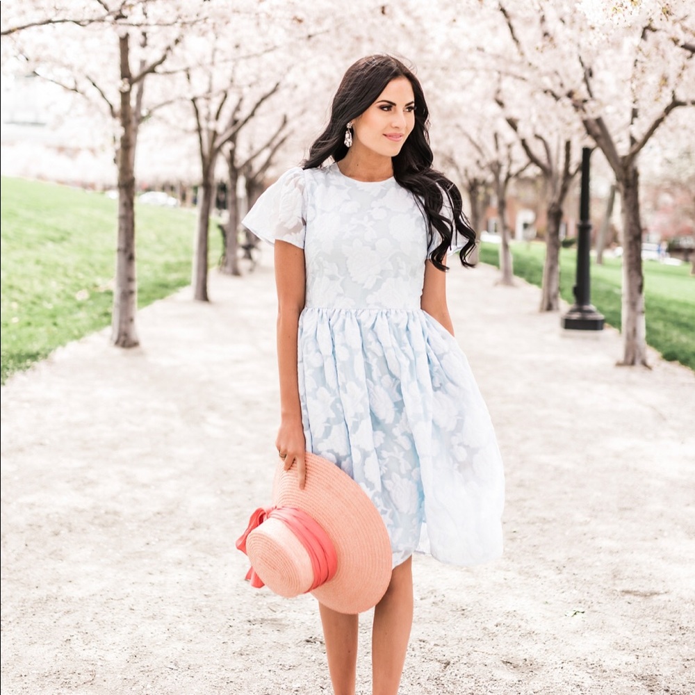 Rachel Parcell Floret Organza Dress in French Blue
